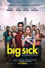 Watch The Big Sick Zmovies