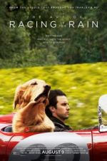 Watch The Art of Racing in the Rain Zmovies