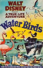 Watch Water Birds (Short 1952) Zmovies