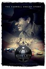 Watch Shelby American Zmovies