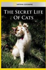 Watch National Geographic The Secret Life of Cats Zmovies