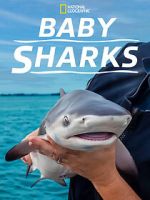 Watch Baby Sharks Zmovies