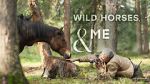 Watch Wild Horses, the Rockies and Me (TV Special 2025) Zmovies