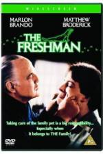 Watch The Freshman Zmovies