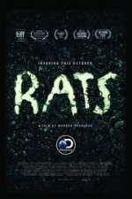 Watch Rats Zmovies