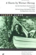 Watch La Soufria?re - Waiting For An Inevitable Disaster Zmovies