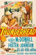Watch Thunderhead: Son of Flicka Zmovies