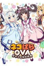 Watch Nekopara OVA Extra Zmovies