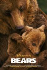 Watch Bears Zmovies