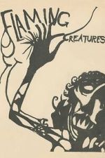 Watch Flaming Creatures Zmovies