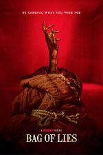 Watch Bag of Lies Zmovies