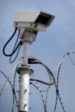 Watch Out Of Jail And On The Streets Zmovies