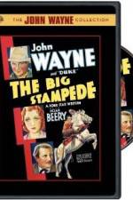 Watch The Big Stampede Zmovies