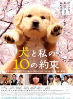 Watch 10 Promises to My Dog Zmovies