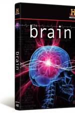 Watch The Brain Zmovies