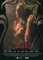 Watch Asche Zmovies