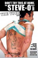 Watch Don't Try This at Home: The Tour Zmovies