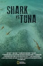Watch Shark vs Tuna Zmovies
