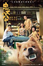 Watch Hachiko Zmovies