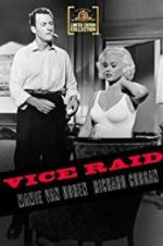 Watch Vice Raid Zmovies