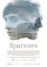 Watch Sparrows Zmovies