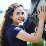 Watch Wildfire: The Legend of the Cherokee Ghost Horse Zmovies