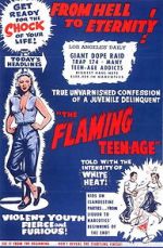 Watch The Flaming Teenage Zmovies