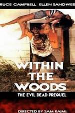 Watch Within the Woods Zmovies