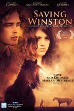 Watch Saving Winston Zmovies