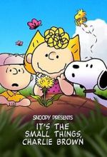 Watch Snoopy Presents: It's the Small Things, Charlie Brown (TV Special 2022) Zmovies