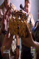 Watch Iraq's Lost Treasure Zmovies