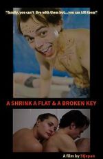 Watch A Shrink A Flat & A Broken Key Zmovies