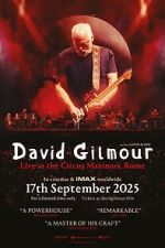 Watch David Gilmour Live at the Circus Maximus, Rome Zmovies
