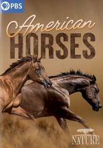 Watch American Horses Zmovies