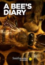 Watch A Bee\'s Diary (TV Special 2022) Zmovies