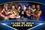 Watch WWE Hall of Fame Zmovies