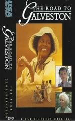 Watch The Road to Galveston Zmovies