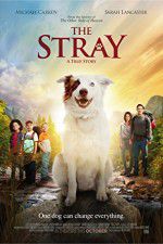 Watch The Stray Zmovies