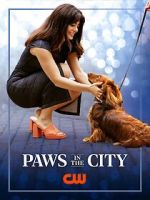 Watch Paws in the City Zmovies