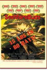 Watch SeeMoreBuds: Vol. 1 Zmovies