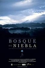 Watch The Cloud Forest Zmovies