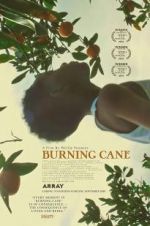 Watch Burning Cane Zmovies