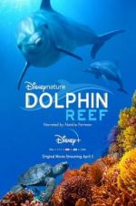 Watch Dolphin Reef Zmovies