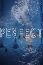 Watch Perfect Zmovies