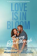 Watch Spring Breakthrough Zmovies
