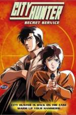 Watch City Hunter Secret Service Zmovies