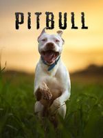 Watch Pitbull Zmovies