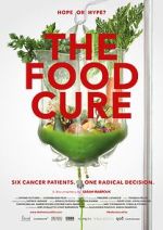 Watch The Food Cure: Hope or Hype? Zmovies