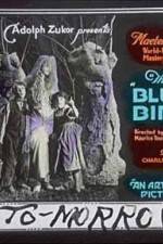 Watch The Blue Bird Zmovies