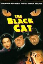 Watch The Black Cat Zmovies
